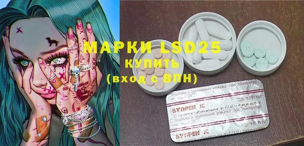 ПСИЛОЦИБИНОВЫЕ ГРИБЫ Алексеевка