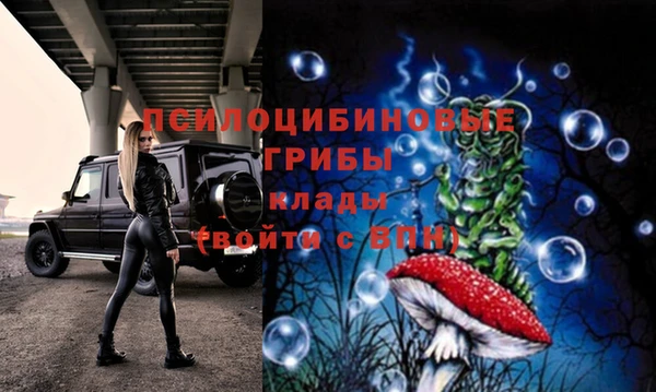 прущие крисы Алексин