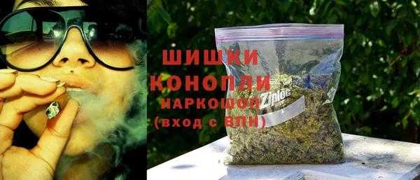 ПСИЛОЦИБИНОВЫЕ ГРИБЫ Алексеевка