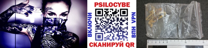 Галлюциногенные грибы Psilocybine cubensis  Кашира 