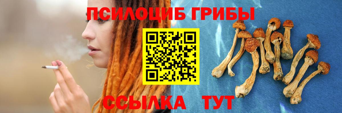 Псилоцибиновые грибы ЛСД Кашира