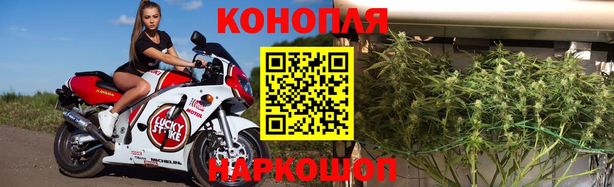 Каннабис SATIVA & INDICA Кашира